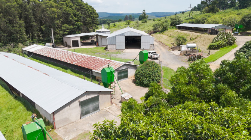Poultry Farms - Layers & Broilers with Abattoir Property Images