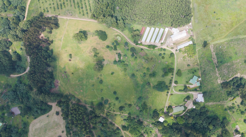 Poultry Farms - Layers & Broilers with Abattoir Property Images