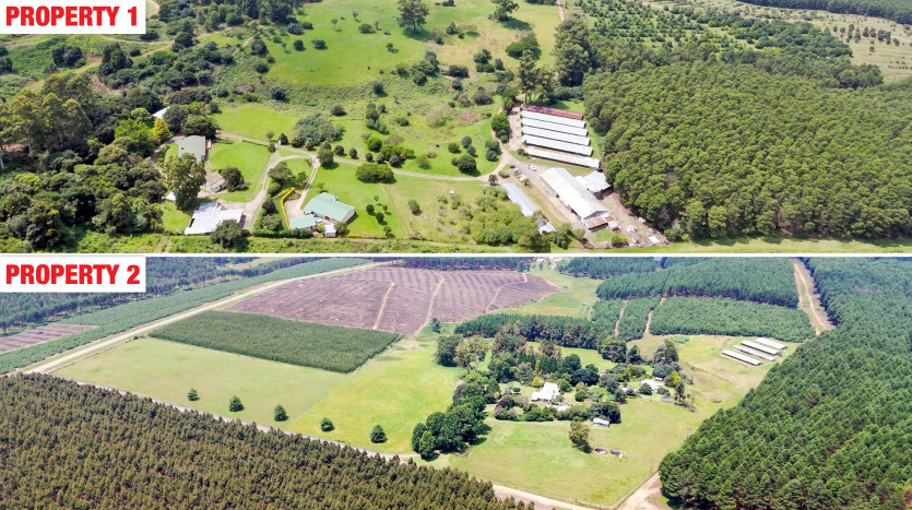 Poultry Farms - Layers & Broilers with Abattoir Property Lead Image