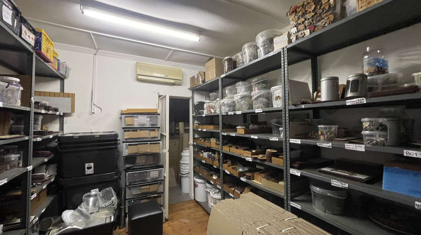 Retail Properties in Glen Ashley Property Images