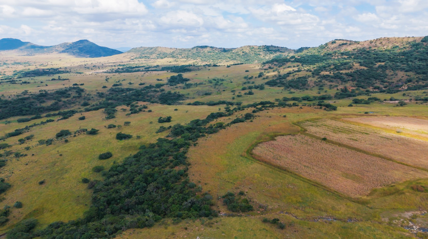 Large-Scale Beef Grazing Farms Property Images