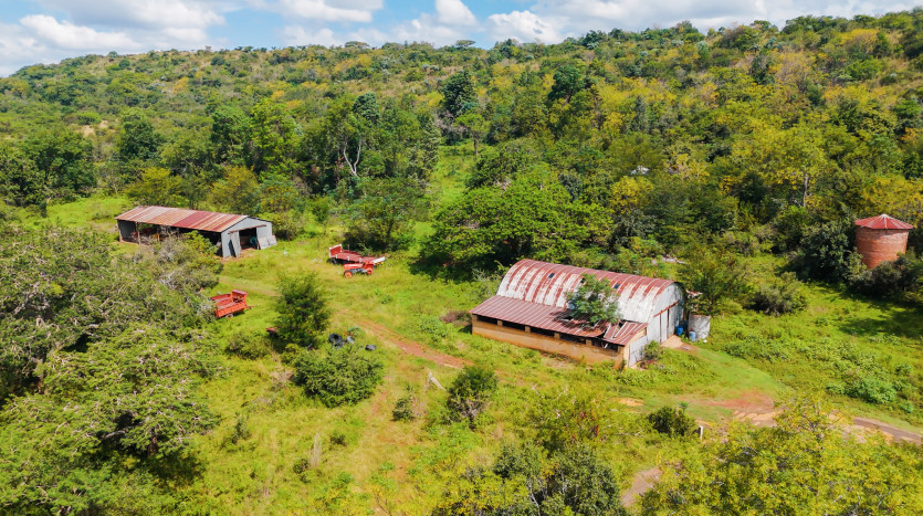 Large-Scale Beef Grazing Farms Property Images