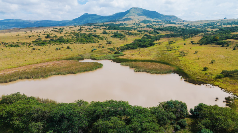 Large-Scale Beef Grazing Farms Property Images