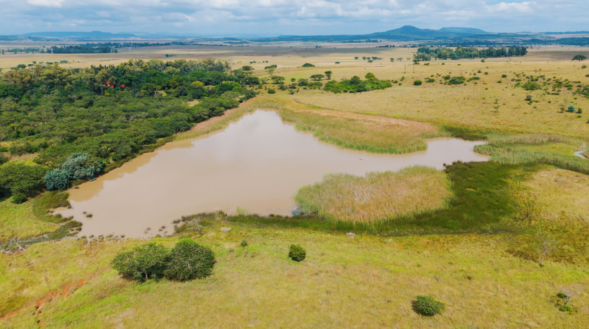Large-Scale Beef Grazing Farms Property Images