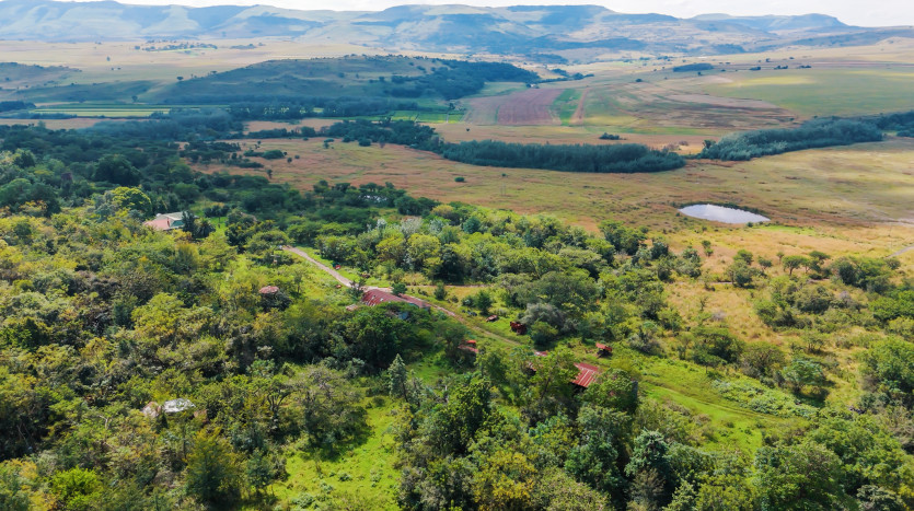 Large-Scale Beef Grazing Farms Property Images