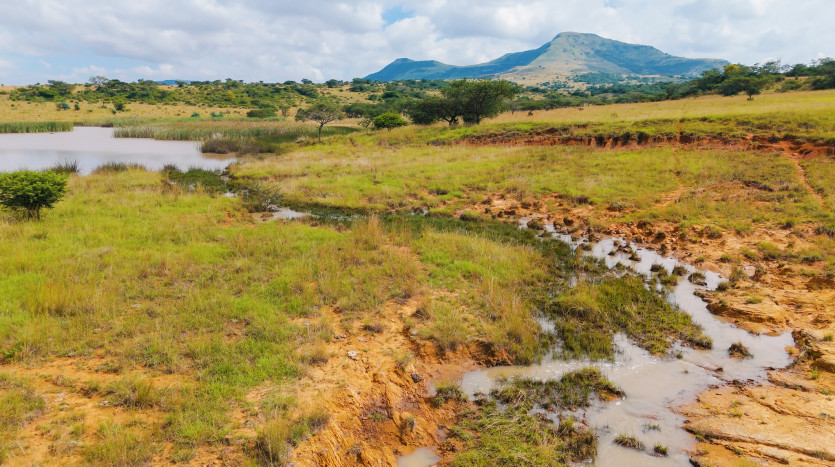 Large-Scale Beef Grazing Farms Property Images