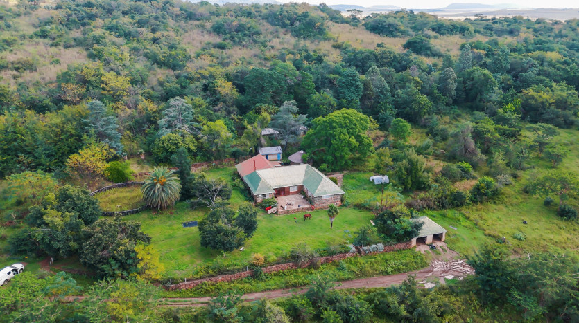 Large-Scale Beef Grazing Farms Property Images