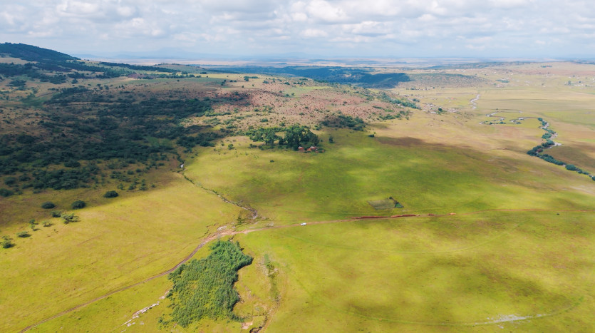 Large-Scale Beef Grazing Farms Property Images