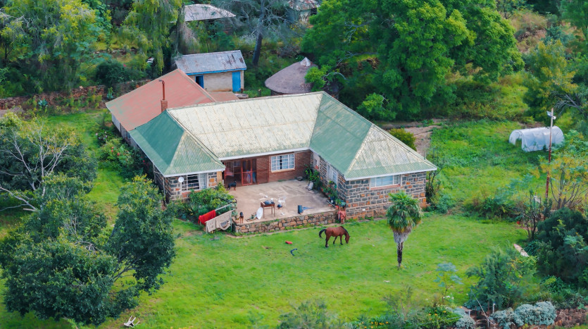 Large-Scale Beef Grazing Farms Property Images