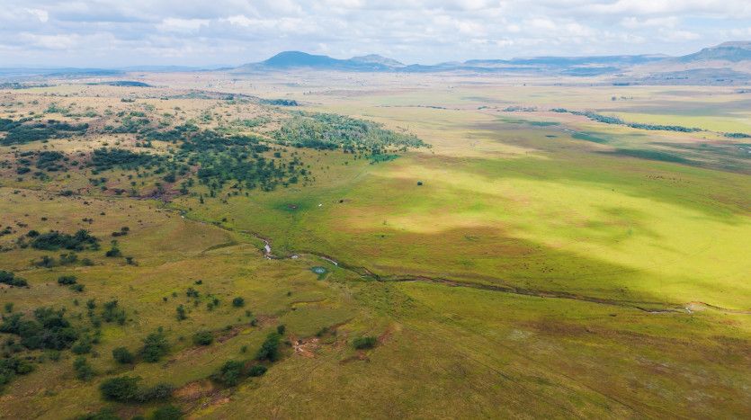 Large-Scale Beef Grazing Farms Property Images