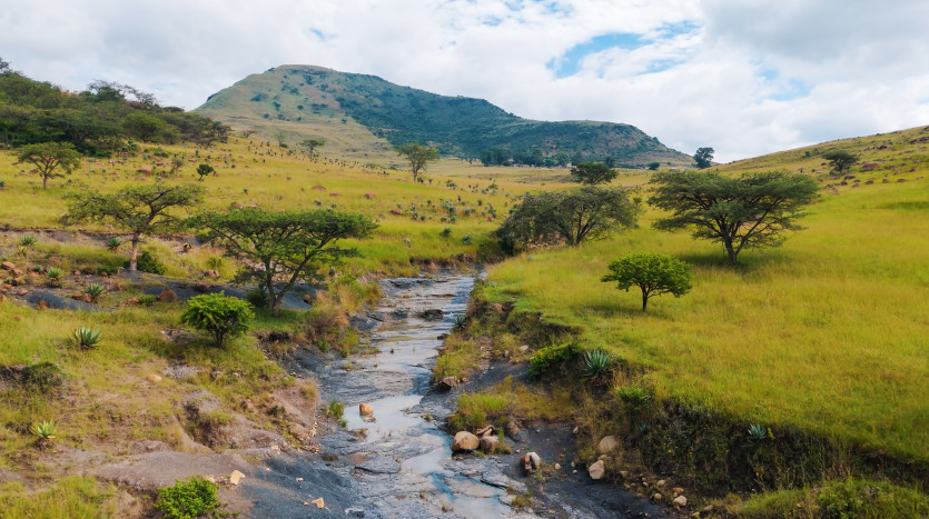 Large-Scale Beef Grazing Farms Property Images