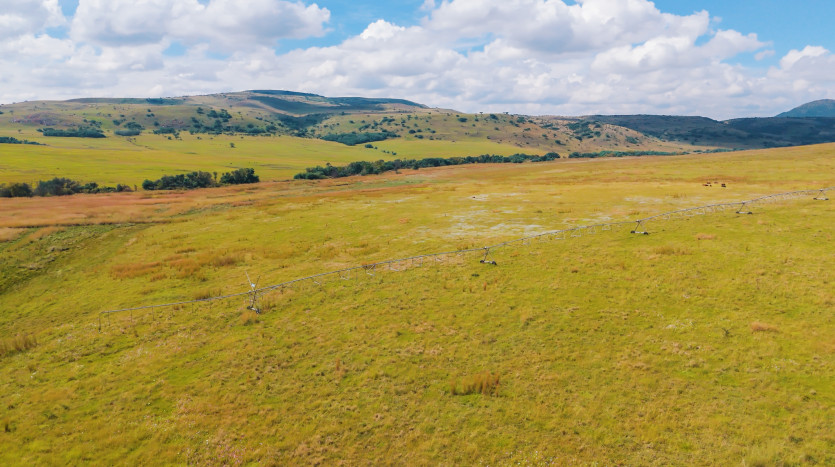 Large-Scale Beef Grazing Farms Property Images