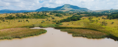 Large-Scale Beef Grazing Farms