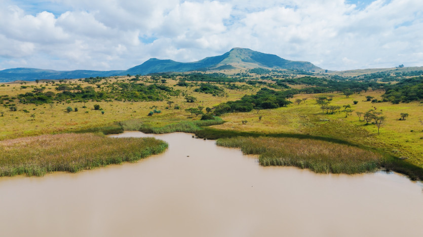 Large-Scale Beef Grazing Farms Property Lead Image