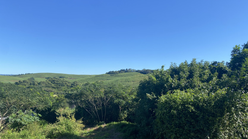 Vacant land in Wesbrook Beach Town Property Images