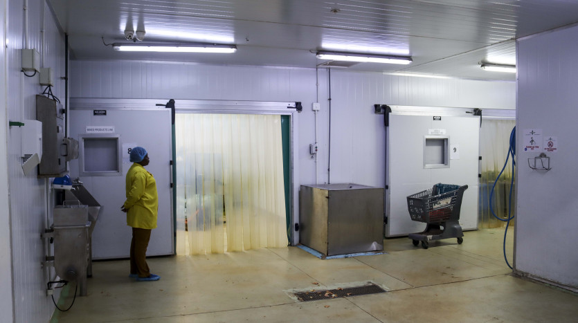 Investment Opportunity – Modern Cold Storage Facility Property Images