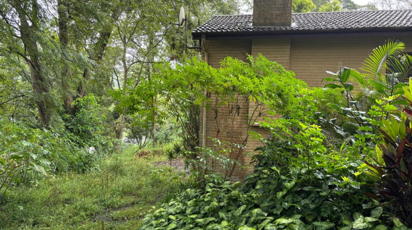 POWER OF ATTORNEY: Restore or Redevelop in Hillcrest Property Images