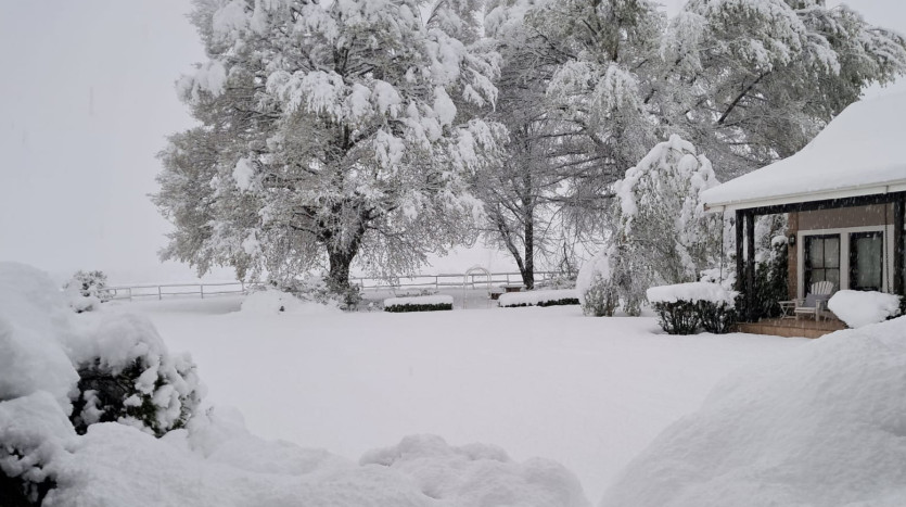 Picturesque Country Estate Property Images