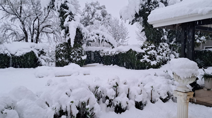 Picturesque Country Estate Property Images