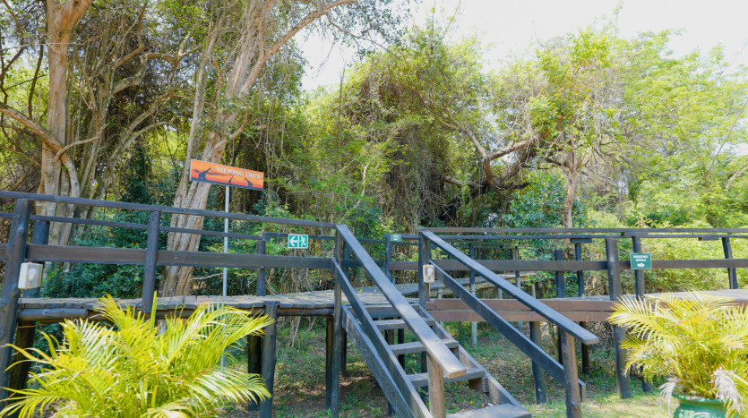 Bushlands Game Lodge Property Images