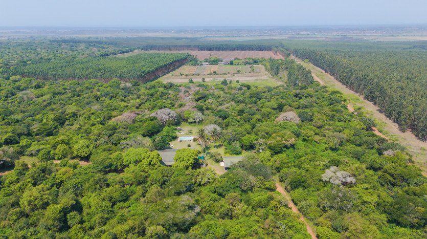 Bushlands Game Lodge Property Images