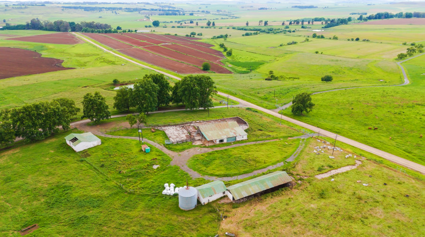 ± 1 987 Ha Premier Grazing & Cropping Farms in KZN Midlands Property Images