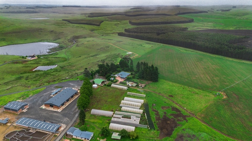 Prime Agricultural Holding Property Images