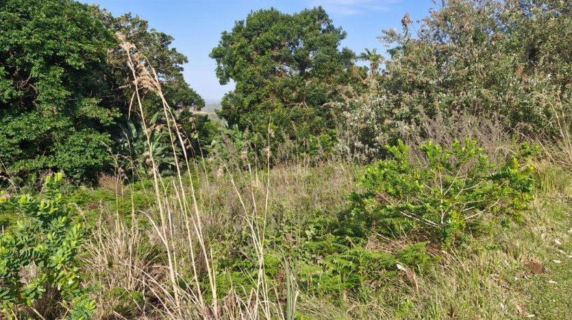 Residential Development Land in San Lameer Golf Estate Property Images