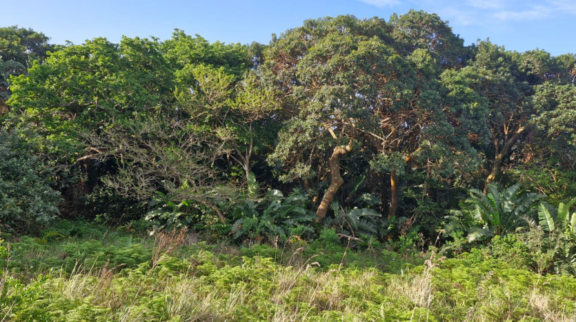 Residential Development Land in San Lameer Golf Estate Property Images