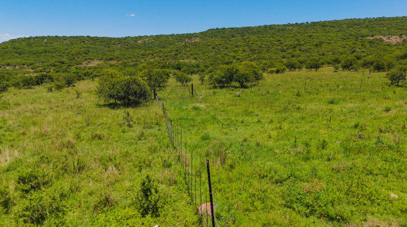 Mixed Use Beef and Game Farm Property Images