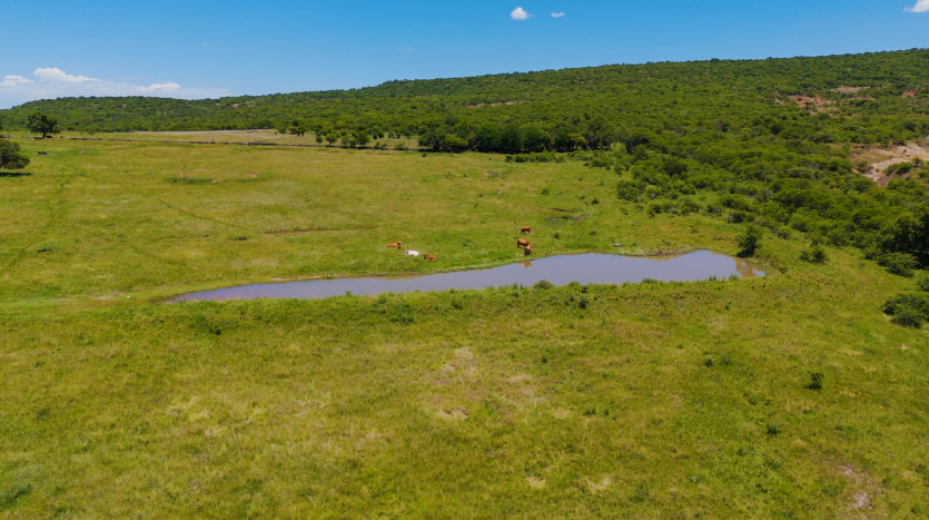 Mixed Use Beef and Game Farm Property Images