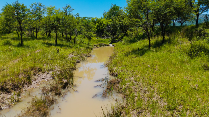 Mixed Use Beef and Game Farm Property Images