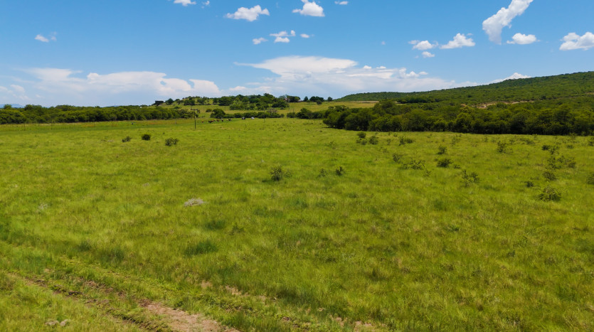 Mixed Use Beef and Game Farm Property Images