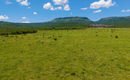 Mixed Use Beef and Game Farm