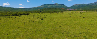 Mixed Use Beef and Game Farm