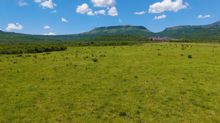 Mixed Use Beef and Game Farm Property Lead Image