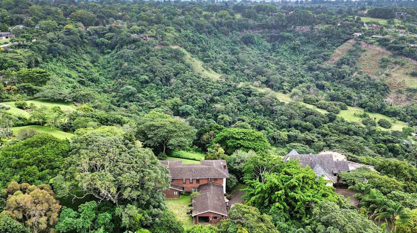 DECEASED ESTATE: Tranquil Family Living in Kloof Property Images