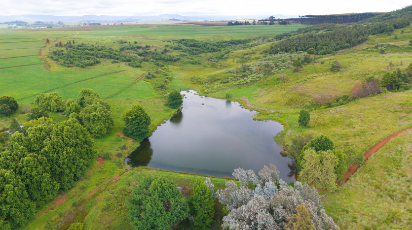 Luxury Country Estate in Mooi River Property Images