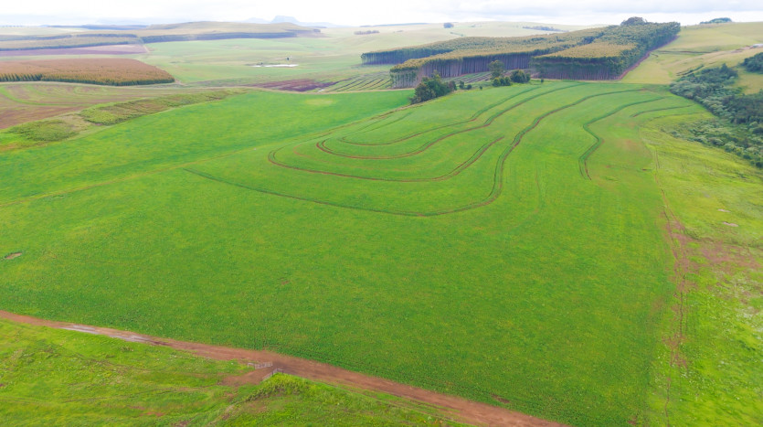 Luxury Country Estate in Mooi River Property Images