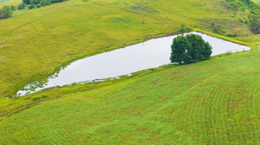 Luxury Country Estate in Mooi River Property Images