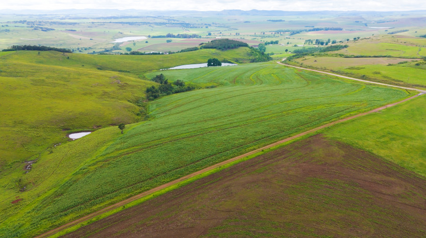 Luxury Country Estate in Mooi River Property Images