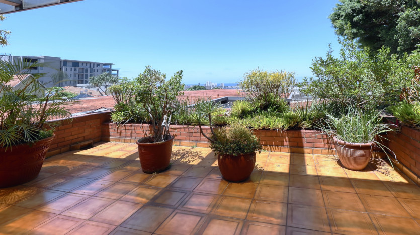 Grand-Scale Family Living in a Secure, Musgrave Complex Property Images