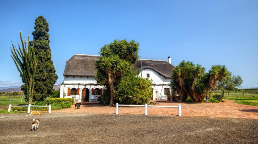 Unique Lifestyle Country Retreat In Robertson Property Images