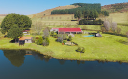 Image of Property