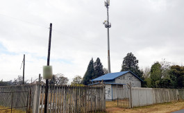 Image of Property