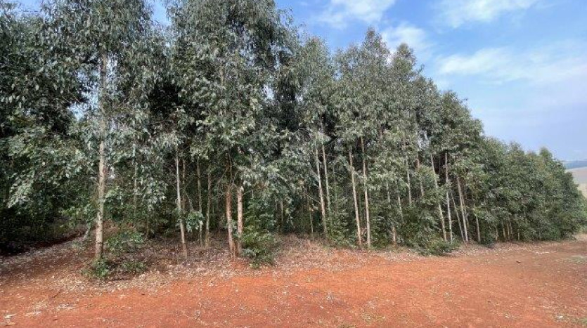 ± 54 Ha Smallholding & Lifestyle Opportunity Property Images