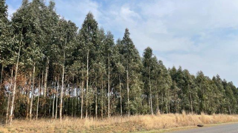 ± 54 Ha Smallholding & Lifestyle Opportunity Property Images