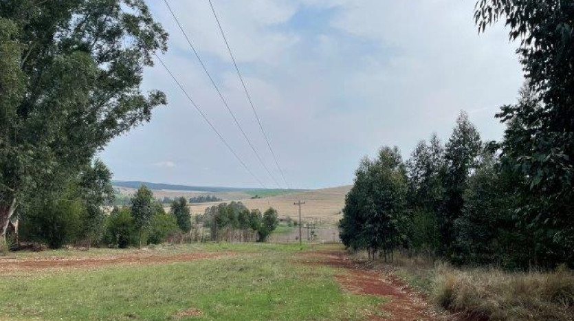 ± 54 Ha Smallholding & Lifestyle Opportunity Property Images