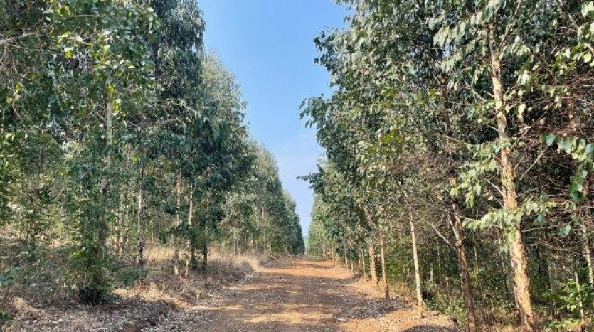 ± 54 Ha Smallholding & Lifestyle Opportunity Property Images