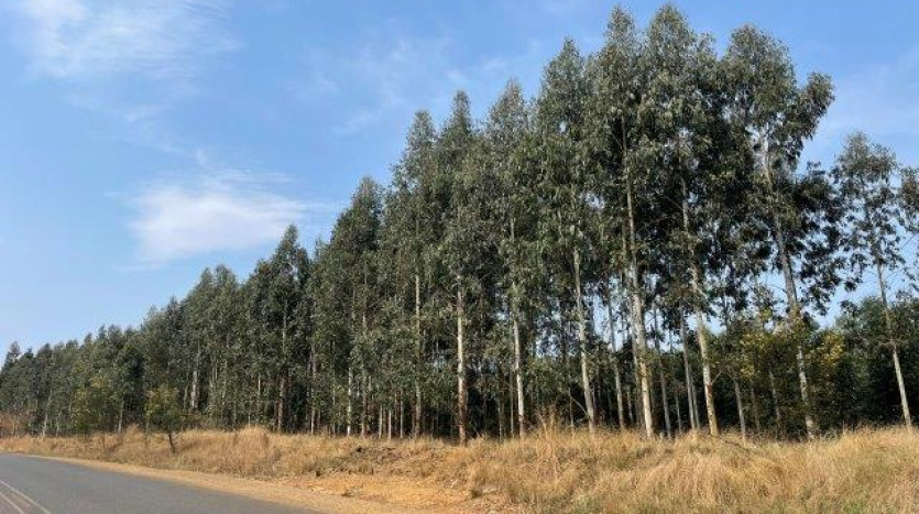 ± 54 Ha Smallholding & Lifestyle Opportunity Property Images